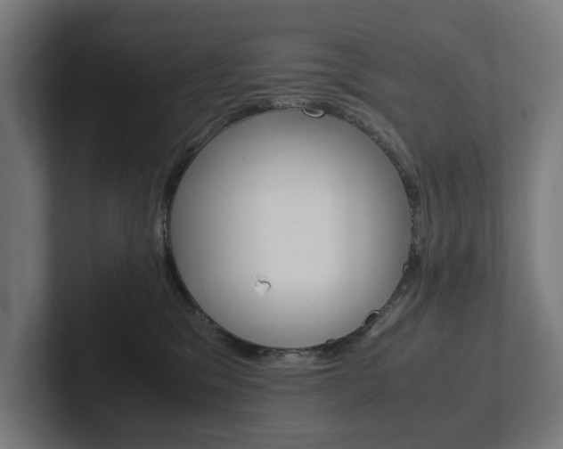 X0000102380329200808010919