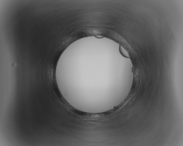 X0000102380330200808010919