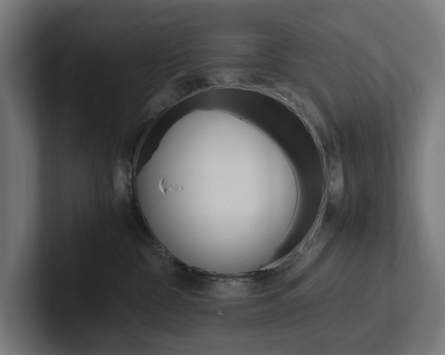 X0000102380332200808010919