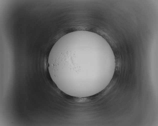X0000102380334200808010919