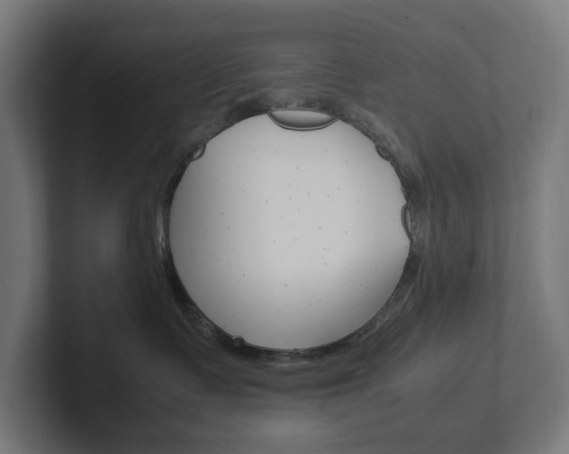 X0000102380335200808010919