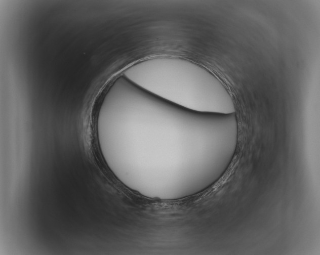 X0000102380338200808010918