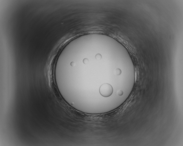 X0000102380339200808010918