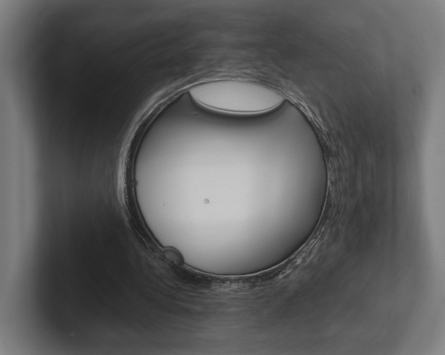 X0000102380340200808010919