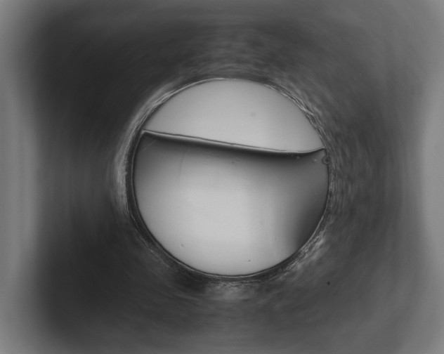 X0000102380341200808010919