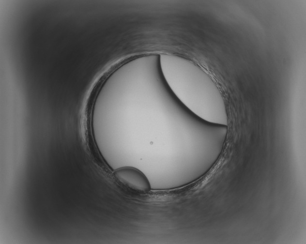 X0000102380342200808010919