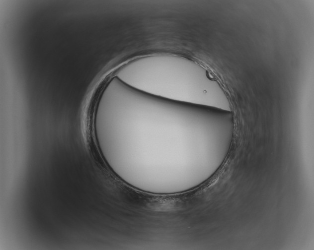 X0000102380343200808010919