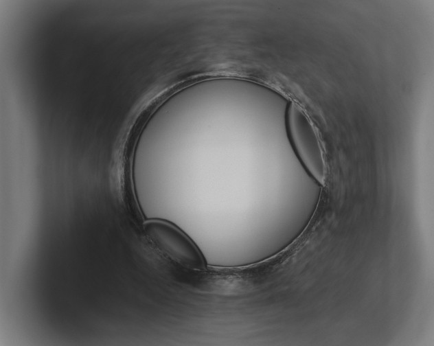 X0000102380344200808010919