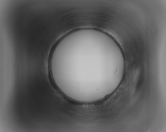 X0000102380345200808010919