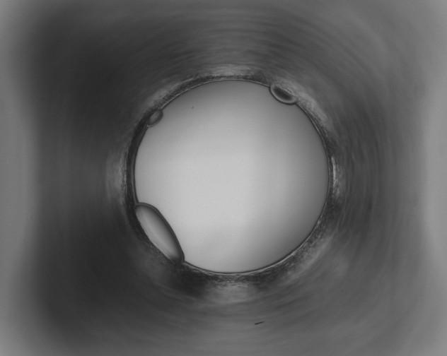 X0000102380348200808010919
