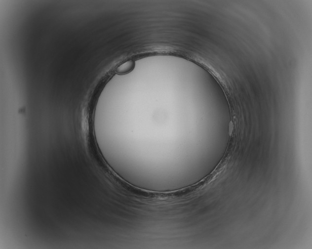 X0000102380350200808010919