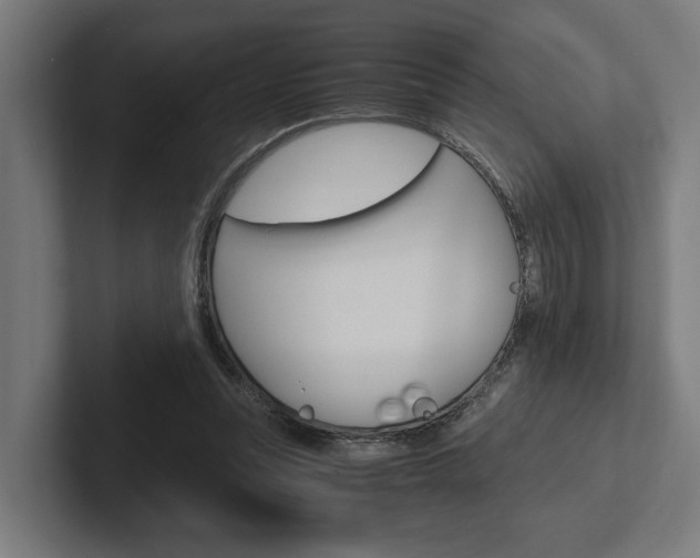 X0000102380351200808010919
