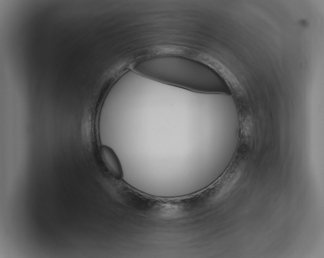 X0000102380352200808010919