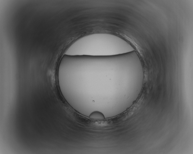 X0000102380353200808010919