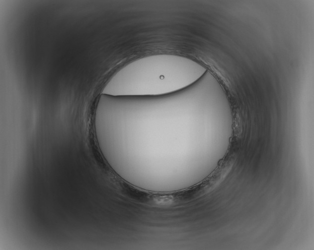 X0000102380355200808010919