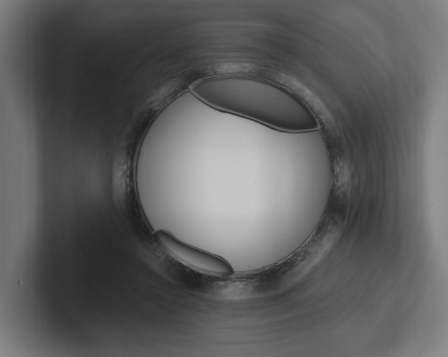 X0000102380356200808010919