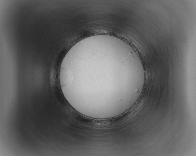 X0000102380359200808010919