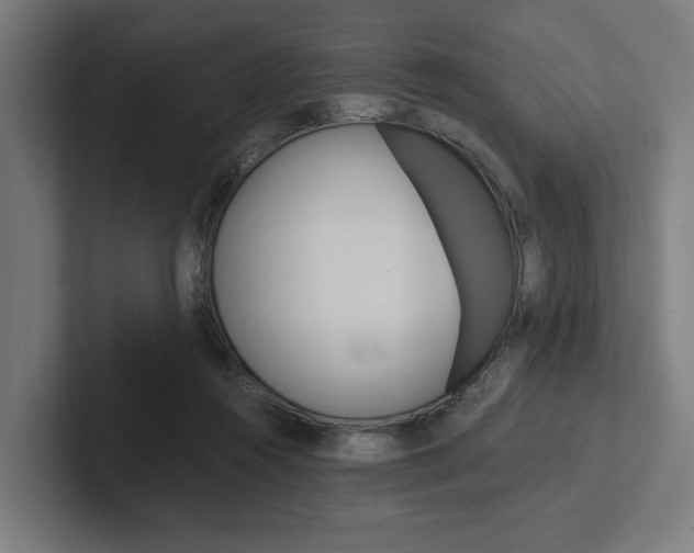 X0000102380360200808010919