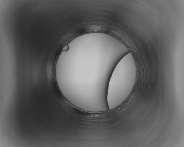 X0000102380361200808010919