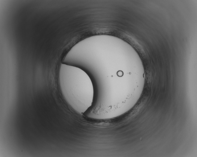 X0000102380362200808010919