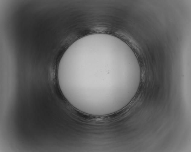 X0000102380365200808010919
