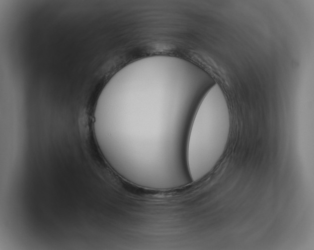 X0000102380366200808010919