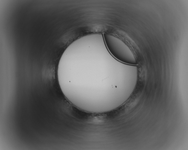 X0000102380368200808010919