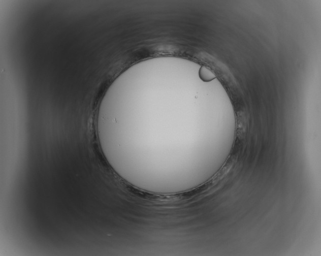 X0000102380369200808010919
