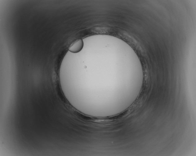 X0000102380371200808010919