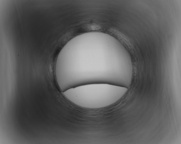 X0000102380373200808010919