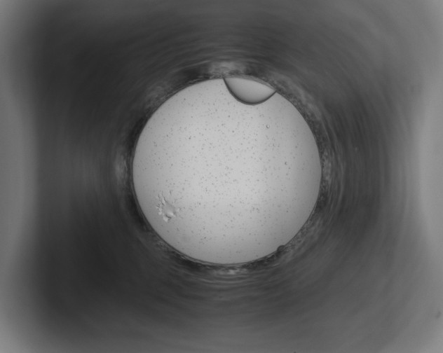 X0000102380375200808010919