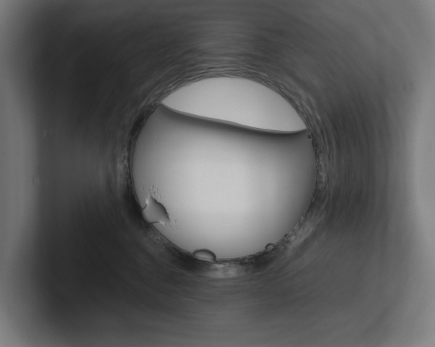 X0000102380376200808010919
