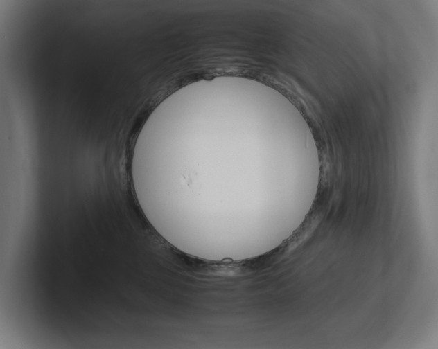 X0000102380377200808010919