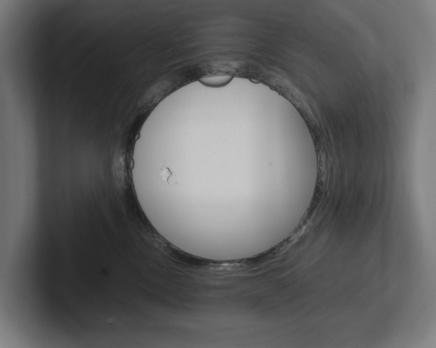 X0000102380378200808010919