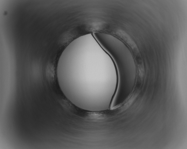 X0000102380380200808010919