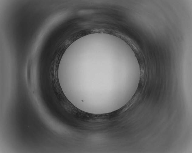 X0000102380381200808010919