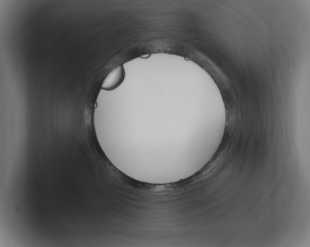 X0000102380382200808010919