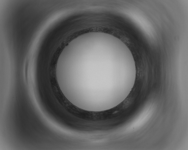 X0000102380383200808010919