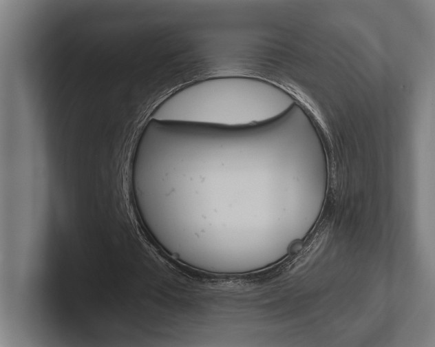 X0000102380385200808010918
