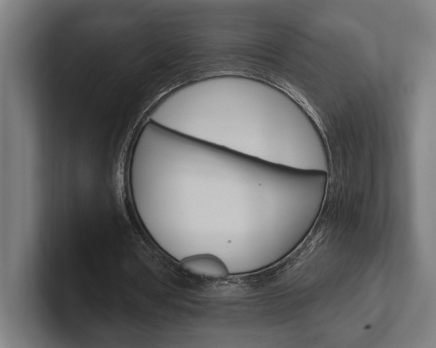 X0000102380386200808010918