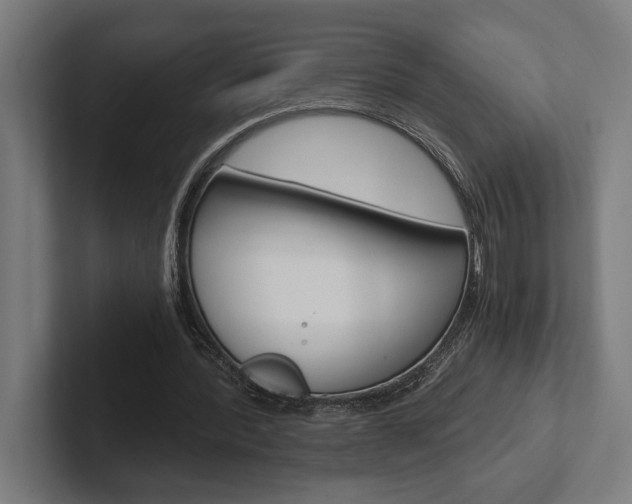 X0000102380388200808010918