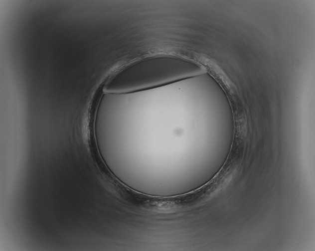 X0000102380395200808010918