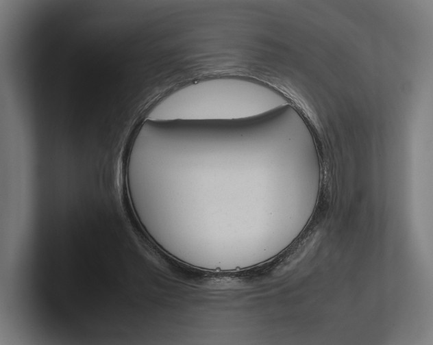 X0000102380397200808010918