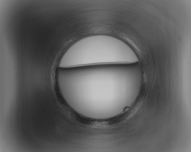 X0000102380403200808010918