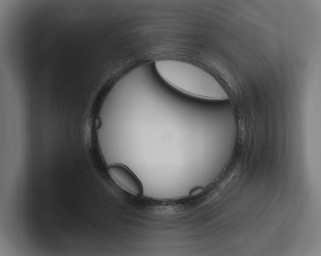 X0000102380404200808010918