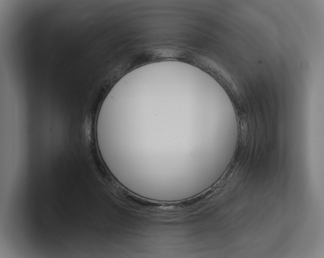 X0000102380406200808010918