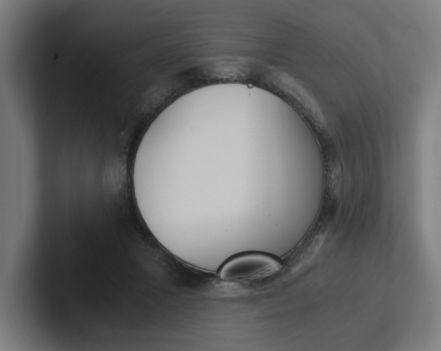 X0000102380407200808010918