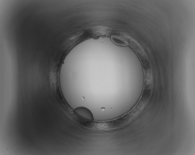 X0000102380409200808010918
