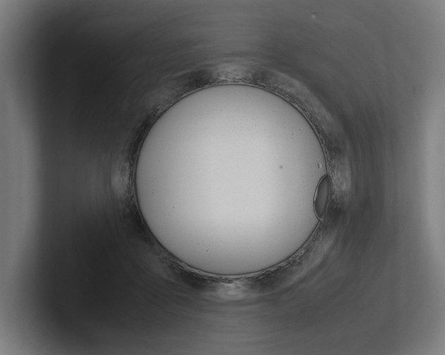 X0000102380411200808010918