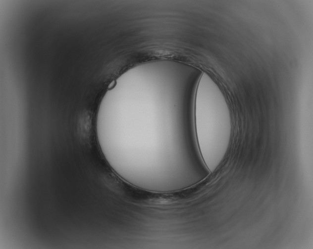 X0000102380412200808010918